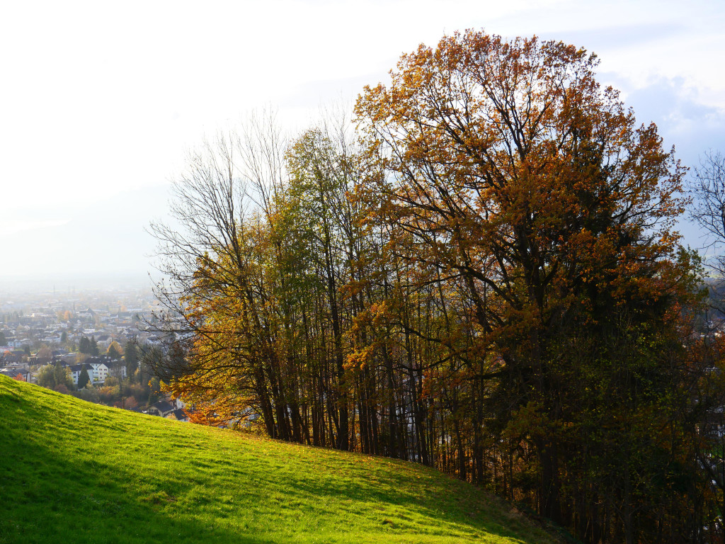 Herbst 171124_24.JPG