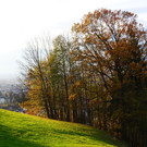 Herbst 171124_24.JPG