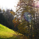 Herbst 171124_25.JPG