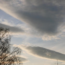 Herbst 171124_29.JPG