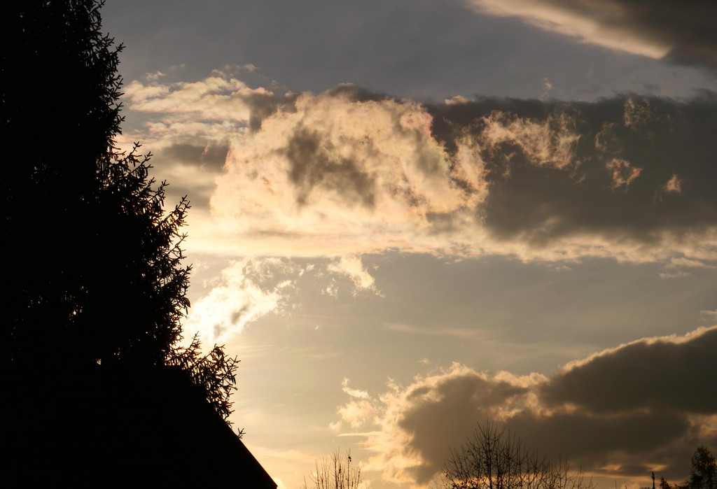 Herbst 171124_32.JPG