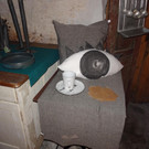 DSC00201.JPG