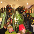 DSC00291.JPG