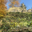IMG_1280.JPEG