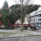 Weihnachtsbaum vor dem Landhaus heuer aus Bludenz