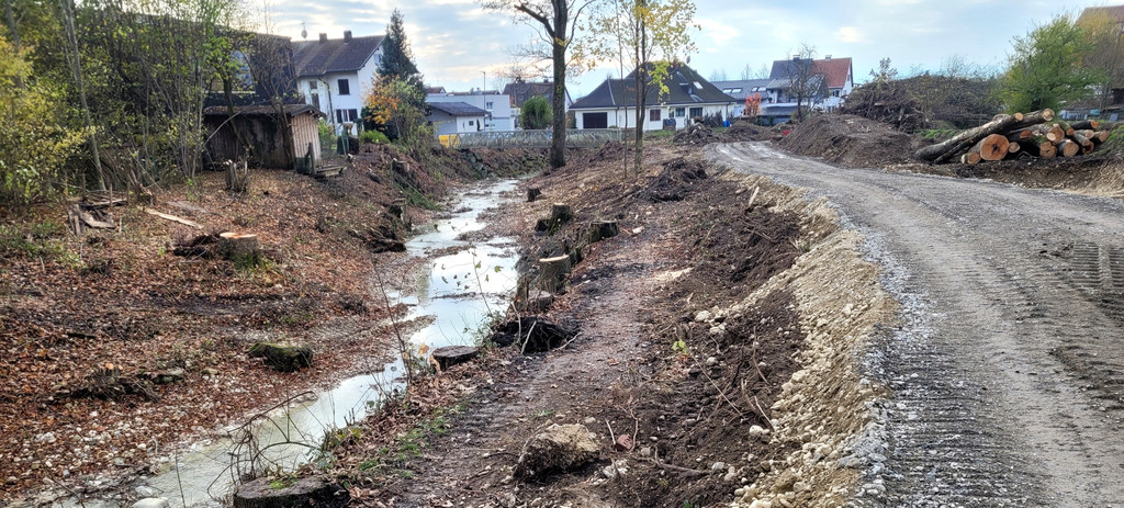 BU 1aaa Lochau Ruggbach HOCHWASSERSCHUTZ BA 9 Areal Salvatorkolleg November 2024 _5_.jpg