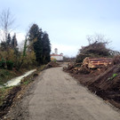 BU 2f Lochau Ruggbach HOCHWASSERSCHUTZ BA 9 Areal Salvatorkolleg November 2024 _14_.jpg