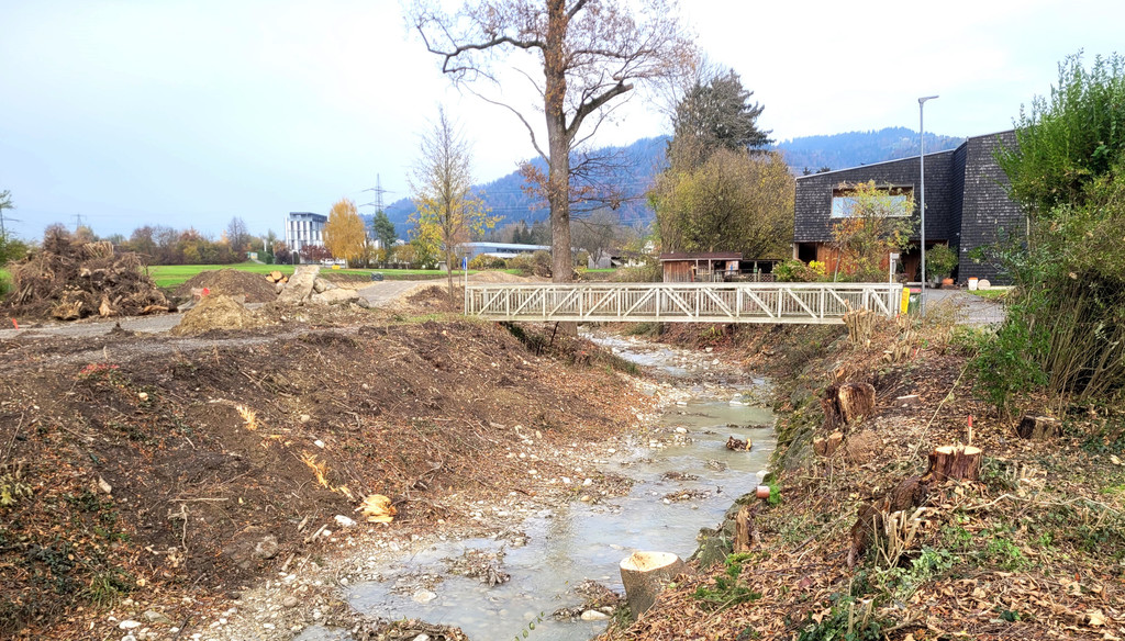 BU 4a Lochau Ruggbach HOCHWASSERSCHUTZ BA 9 Areal Salvatorkolleg November 2024 _12_.jpg