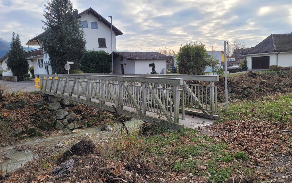 BU 4b Lochau Ruggbach HOCHWASSERSCHUTZ BA 9 Areal Salvatorkolleg November 2024 _10_.jpg
