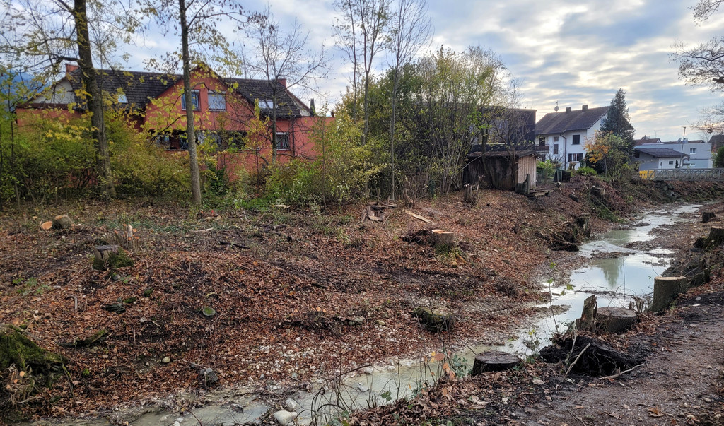 BU 4cc Lochau Ruggbach HOCHWASSERSCHUTZ BA 9 Areal Salvatorkolleg November 2024 _6_.jpg