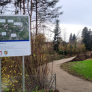 BU 6a Lochau Ruggbach HOCHWASSERSCHUTZ BA 9 Areal Salvatorkolleg November 2024 _13_.jpg