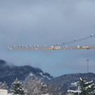 Störche schlafen auf einem Baukran