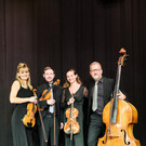 Streichquartett Ensemble konz_art.jpg