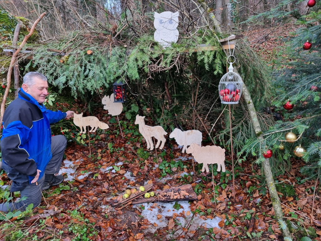 magische Weihnachtsh__hle.jpg