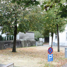 file7xfp8meylfc4k255dsy.jpg