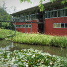 Rieger Orgelbau