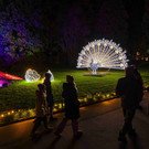 Besondere Familientage im Christmas Garden Insel Mainau