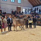 Championat1.jpg