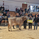 Championat2_1.jpg