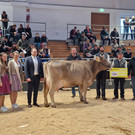 Championat2.jpg
