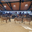 Championat3.jpg