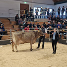 Championat4.jpg