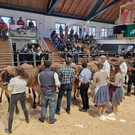 Championat6.jpg