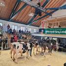 Championat7.jpg