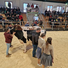 Championat9.jpg