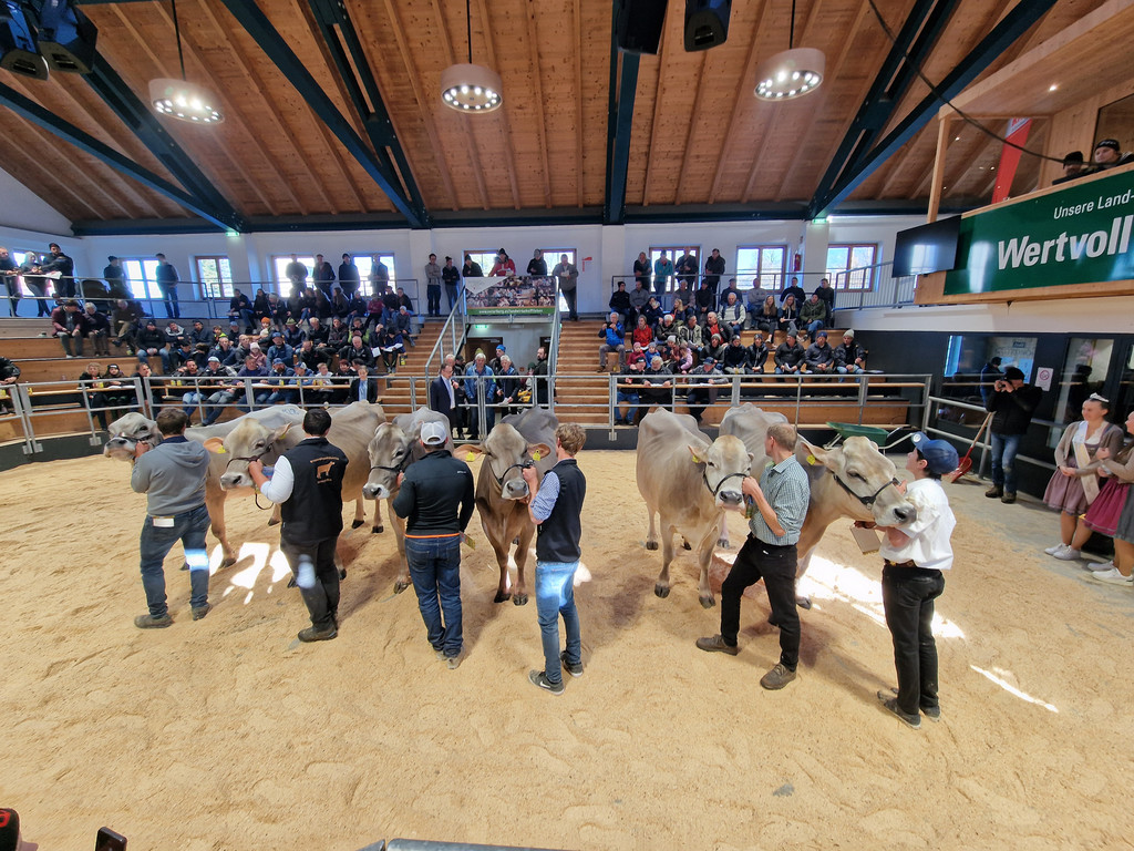 Championat10.jpg