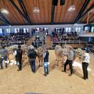 Championat10.jpg