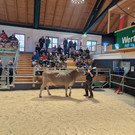 Championat11.jpg