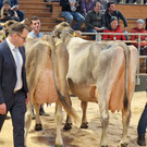 Championat13.jpg