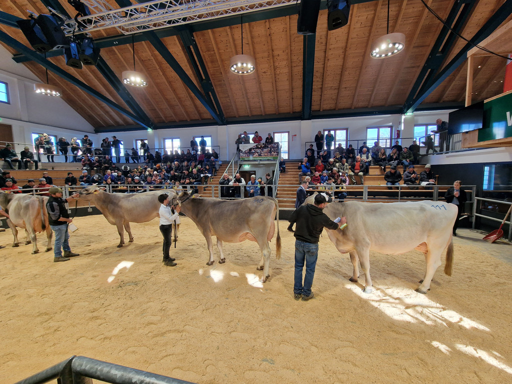 Championat14.jpg