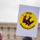 Vienna_at _17 von 123_.JPG