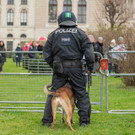 Vienna_at _89 von 123_.JPG