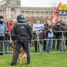 Vienna_at _91 von 123_.JPG