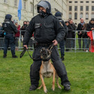 Vienna_at _95 von 123_.JPG