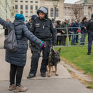 Vienna_at _101 von 123_.JPG
