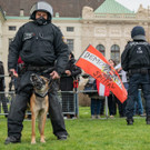 Vienna_at _102 von 123_.JPG