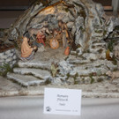 IMG_8982.JPG