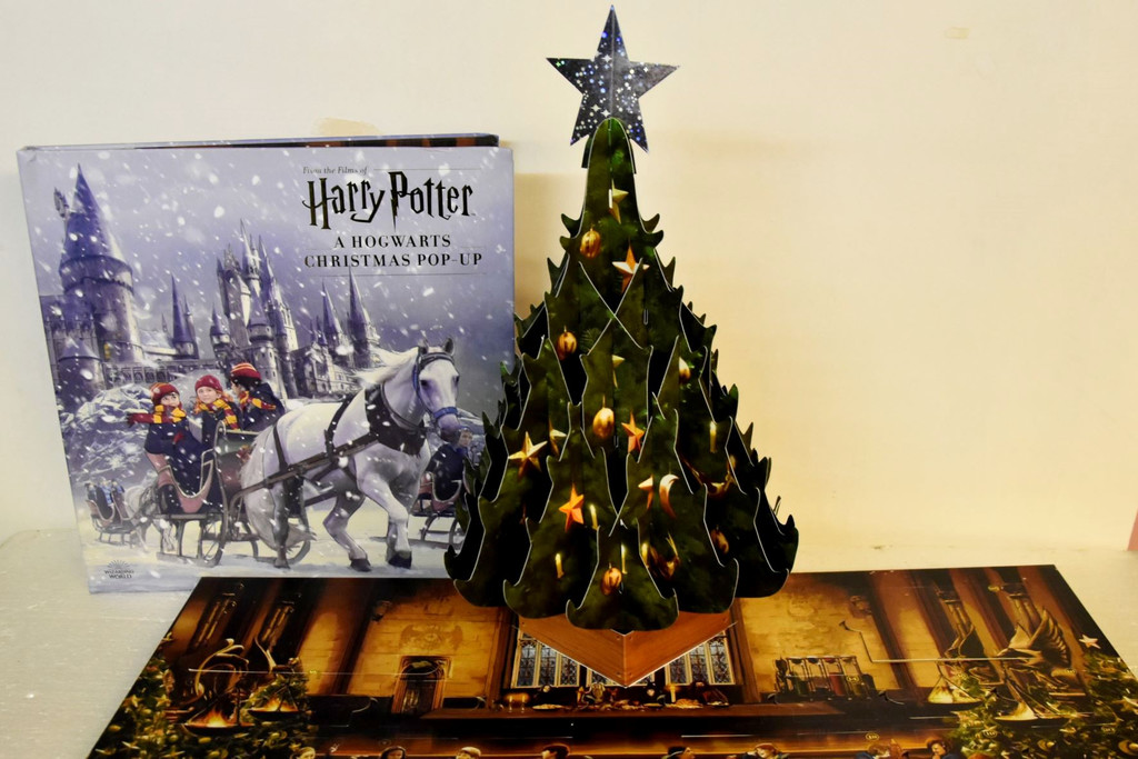PRENNER Adventskalender BILD pop up harry potter email Dezember 2024.JPG