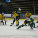 DSC04502.JPG
