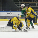 DSC04503.JPG