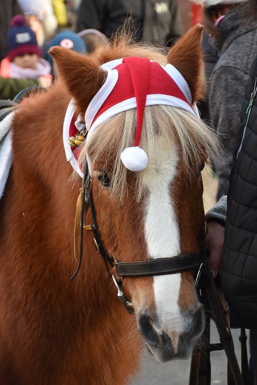 20241201_Weihnachtsmarkt-7.jpg