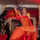 Vienna_at _94 von 111_.JPG