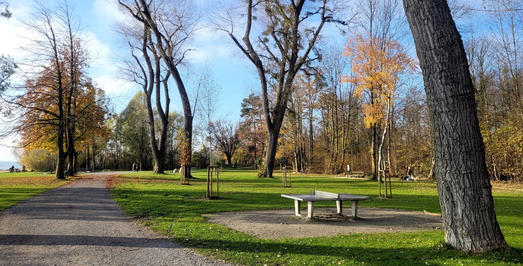 Lochau See UFERLANDSCHAFT Baumpflanzungen PATEN Herbst 16-11-2024 _10_.jpg