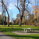 Lochau See UFERLANDSCHAFT Baumpflanzungen PATEN Herbst 16-11-2024 _10_.jpg