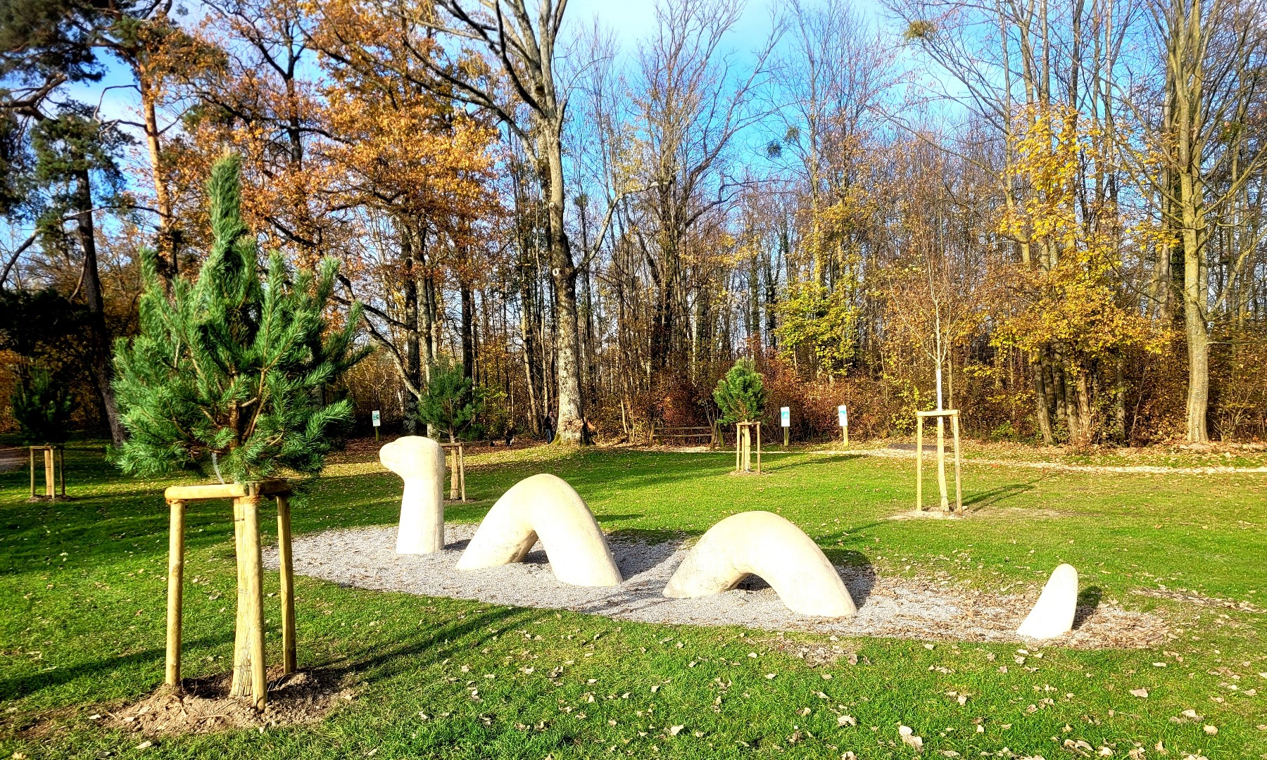 Lochau See UFERLANDSCHAFT Baumpflanzungen PATEN Herbst 16-11-2024 _6_.jpg