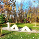 Lochau See UFERLANDSCHAFT Baumpflanzungen PATEN Herbst 16-11-2024 _6_.jpg